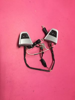 Hız Regülatör Butonu Düğmesi Fluence Megane 3 Clio 4 Captur- 255501805R