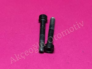 Klima Radyatörü Dedantör Bağlantı Civatası Jeep BMW Honda Volvo Fiat '' Orjinal ''
