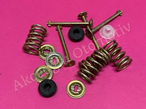 Arka Fren Balata Çivi Takımı Renault R9 Broadway Spring R19 Europa R11 Flash R21 Concorde Manager Clio R5 Twingo Megane '' Orjinal '' - 7701203547